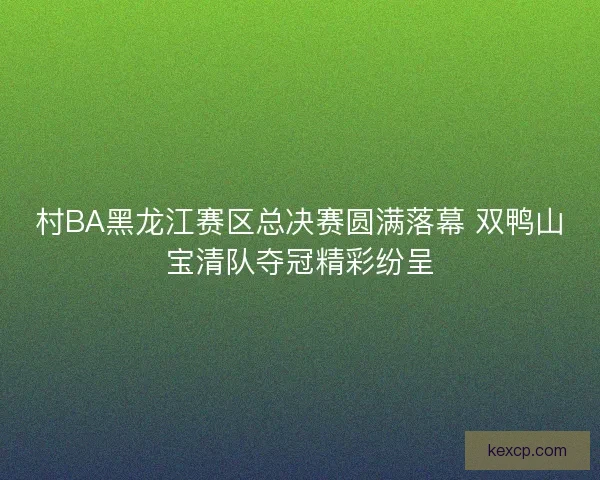 村BA黑龙江赛区总决赛圆满落幕 双鸭山宝清队夺冠精彩纷呈